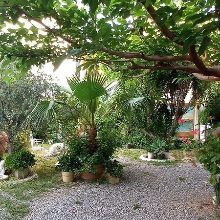 Casa Con Jardin Frente Playa De Burrianaヴィラ 部屋 写真