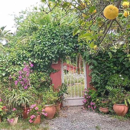 Casa Con Jardin Frente Playa De Burrianaヴィラ 部屋 写真