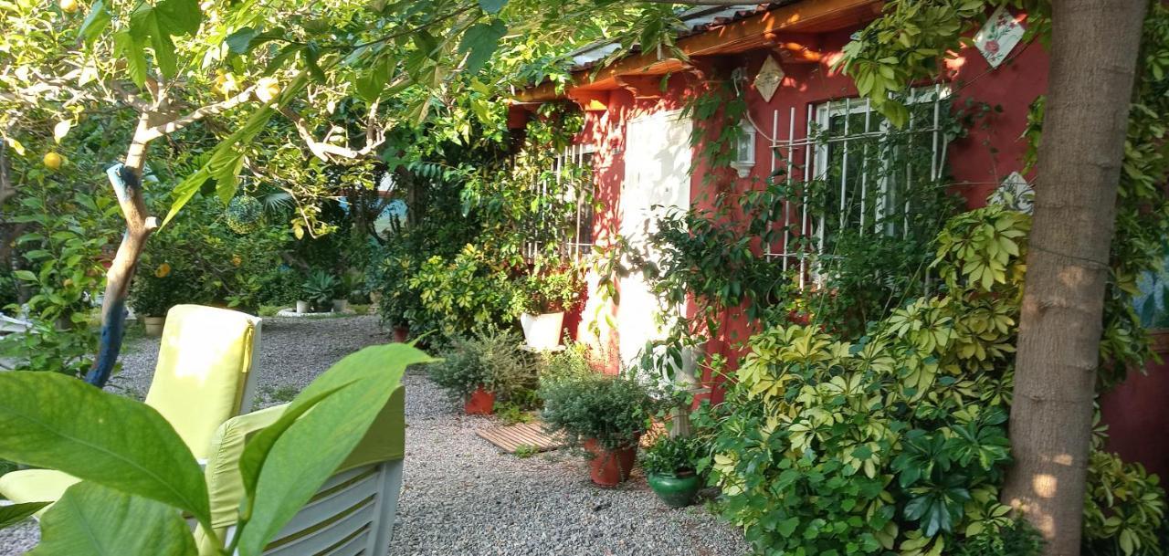Casa Con Jardin Frente Playa De Burrianaヴィラ エクステリア 写真