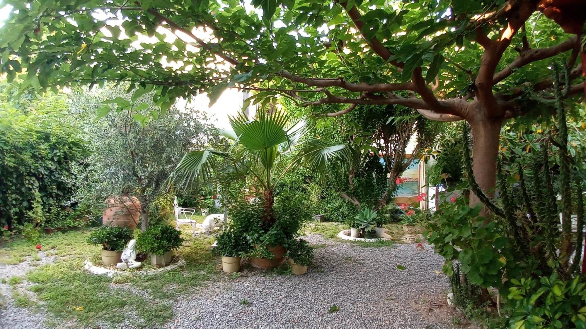 Casa Con Jardin Frente Playa De Burrianaヴィラ 部屋 写真
