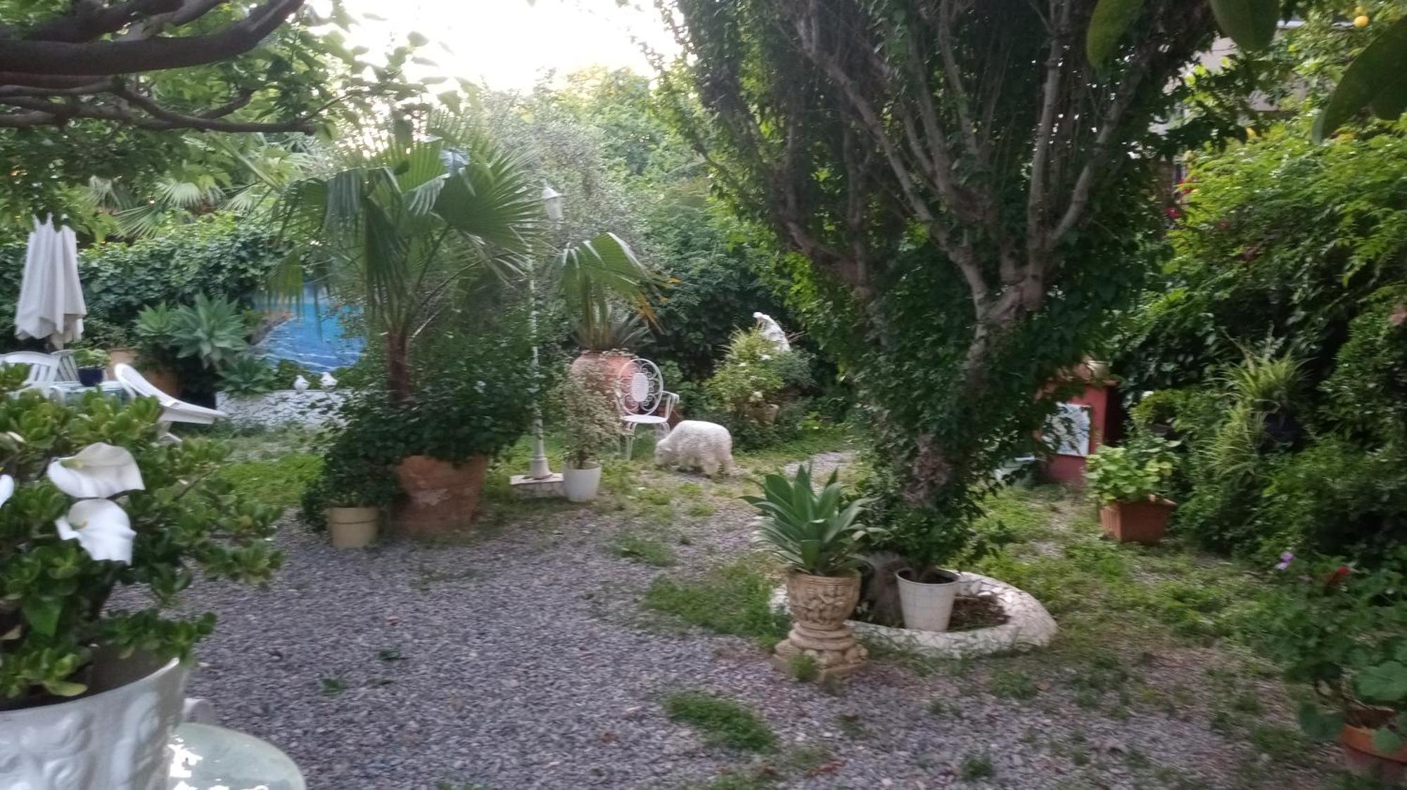 Casa Con Jardin Frente Playa De Burrianaヴィラ 部屋 写真