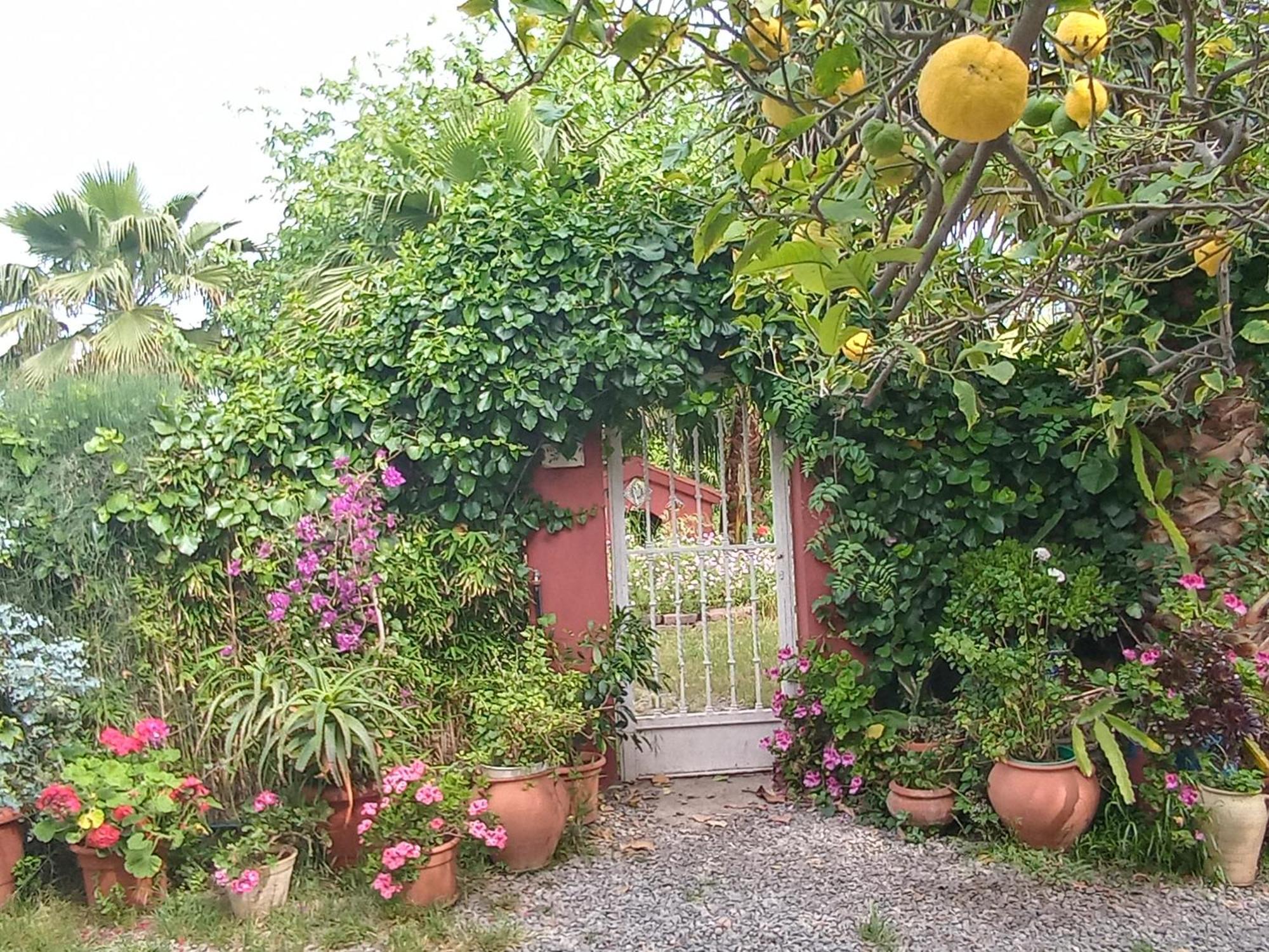 Casa Con Jardin Frente Playa De Burrianaヴィラ 部屋 写真