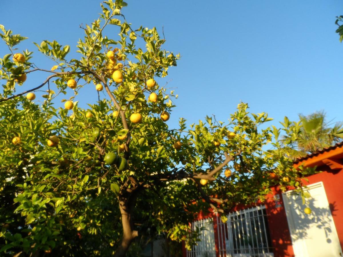 Casa Con Jardin Frente Playa De Burrianaヴィラ エクステリア 写真